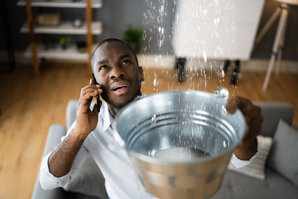Trusted Richton, MS Water damage restoration Experts
