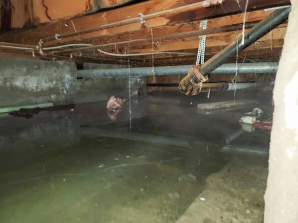 Best Emergency water damage restoration  in Richton, MS