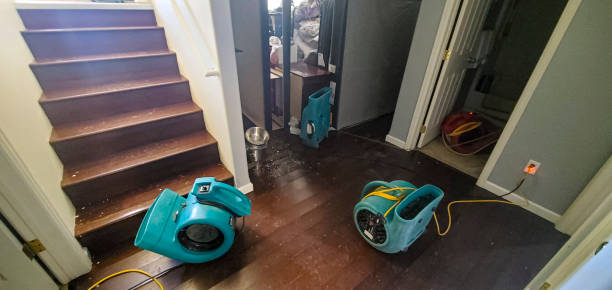 Best Water damage restoration services  in Richton, MS