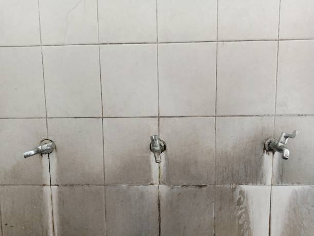 Best Emergency water damage restoration  in Richton, MS