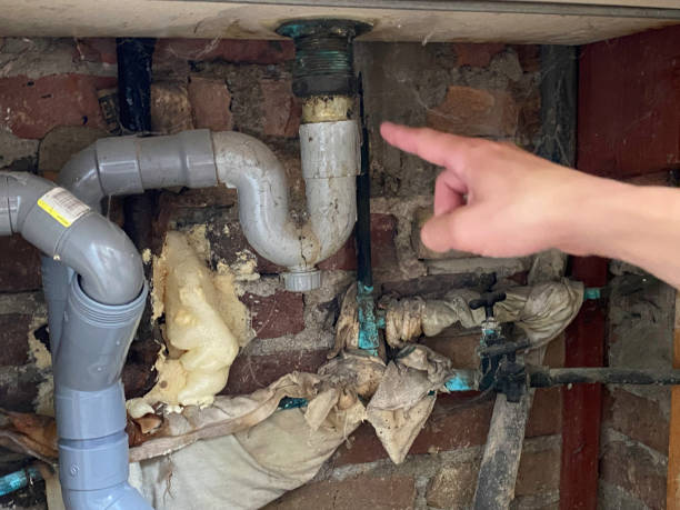 Best Water damage repair service  in Richton, MS